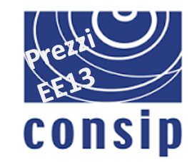 logo ee13